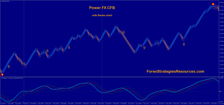 Strength FX CFB