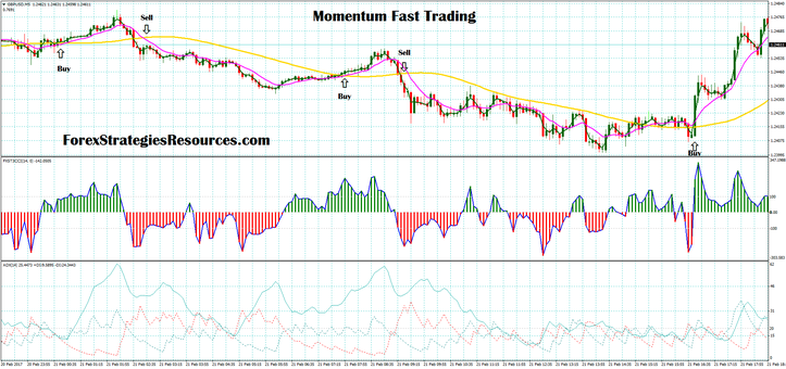 Momentum Rapid Buying and selling