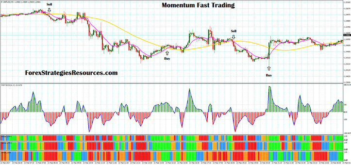 Momentum Rapid Buying and selling