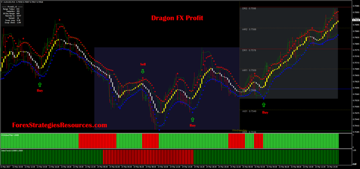 Dragon FX Earnings