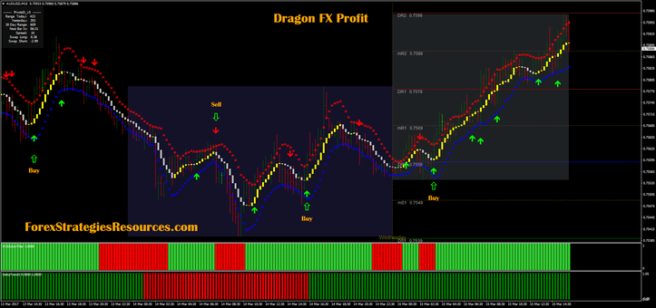 Dragon FX Profit