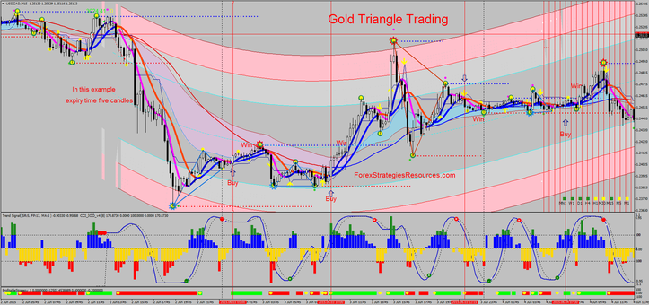 Golden Triangle Trading
