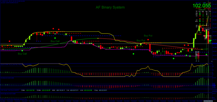 AF Binary System