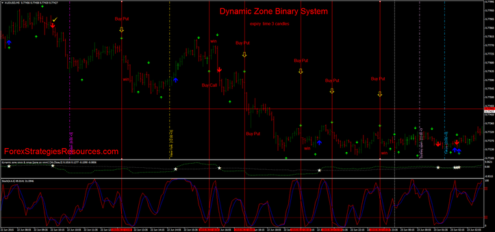 Dynamic Zone Binary Manner